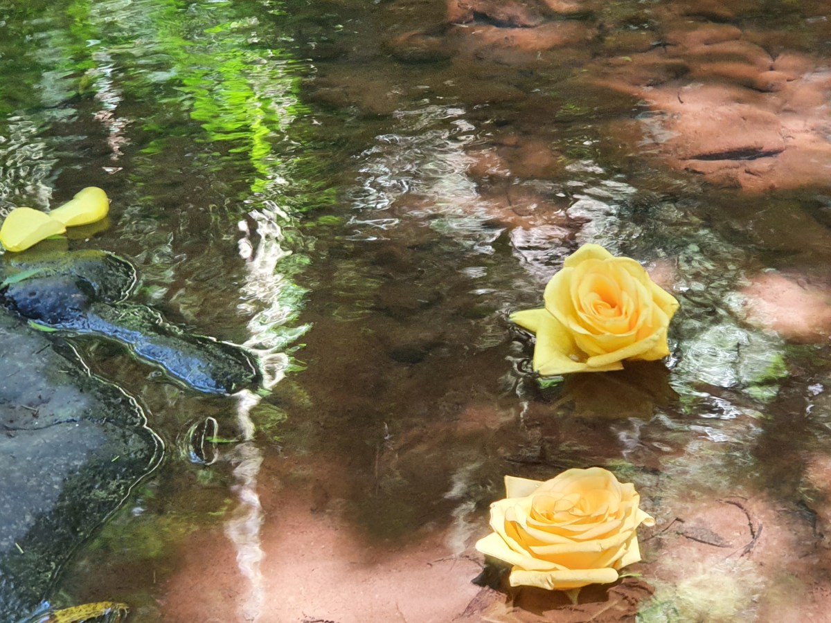 Uma oferenda à Oxum e Xangô para encerrar&nbsp;2021