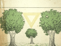 A Umbanda praticada nas casas da raiz de Ubirajara Peito de&nbsp;Aço